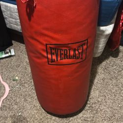 Punching Bag Everlast