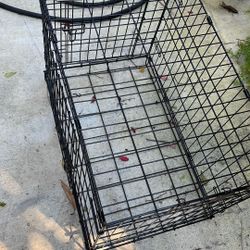 Dog 🐕 Cage 