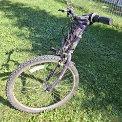 Bicycle  26 " Wheels 