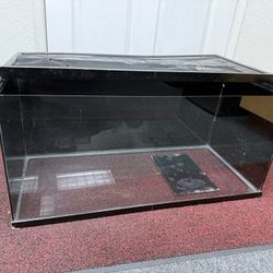 60 Gallon Reptile Tank