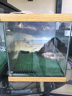 Reptile Aquarium