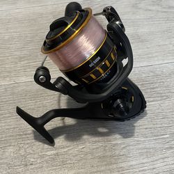 Daiwa BG 5000 spinning reel