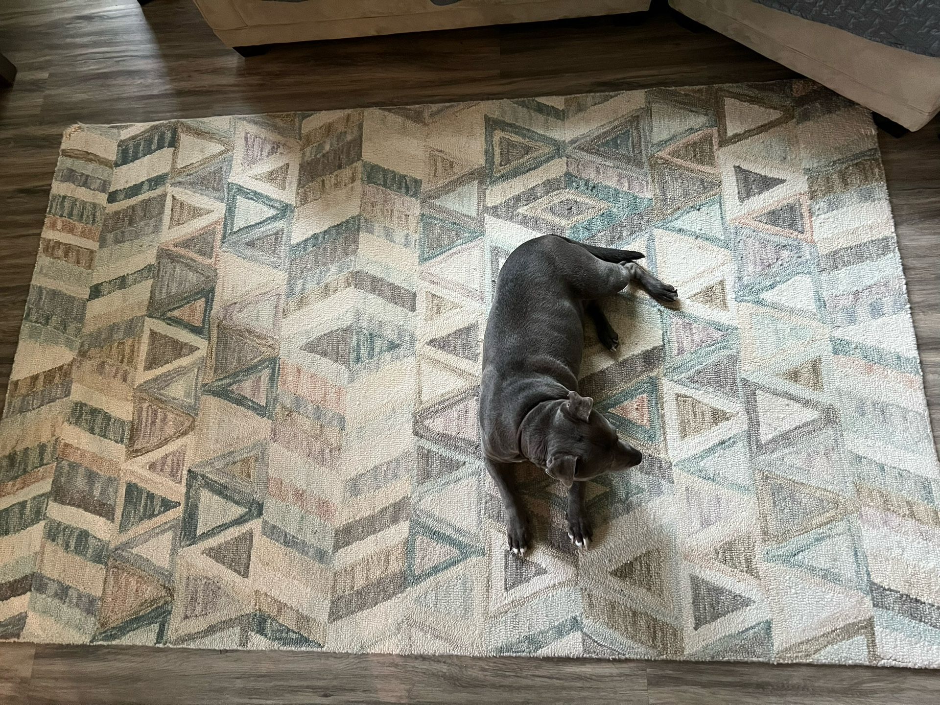 5’ X 8’ Looped Area Rug for Sale in Tumwater, WA OfferUp