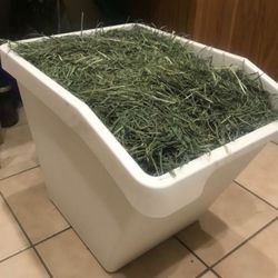 $20- bag of Timothy Hay