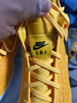 LBJ Air Zoom Nike