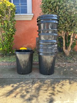 Large Black Plastic Nursery Plant Pots – Multiple Available