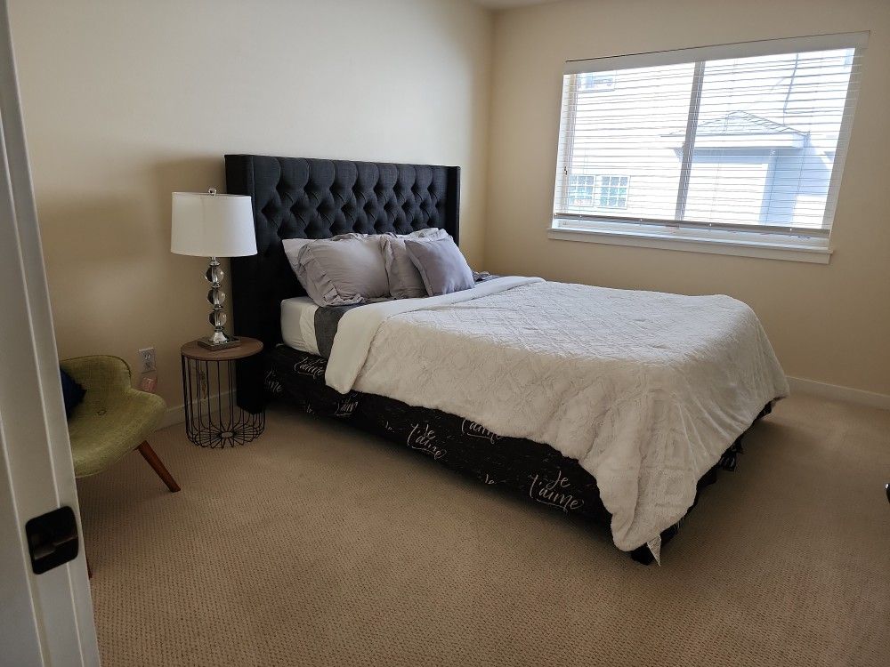 Queen Bed With Free Box Spring And Mattress