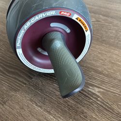 Ab Roller/ Carver Pro