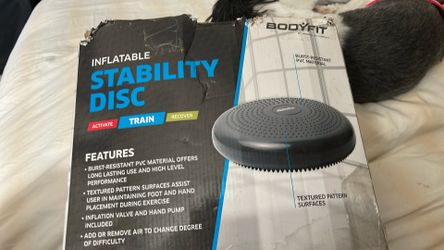 Body Fit Inflatable Stability Disc