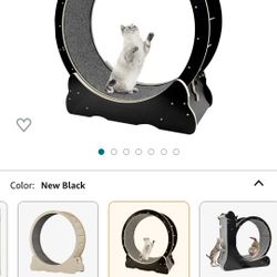 Cat Wheel