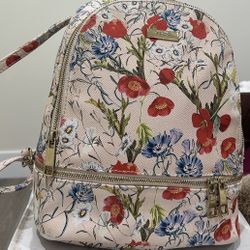 Aldo Backpack 