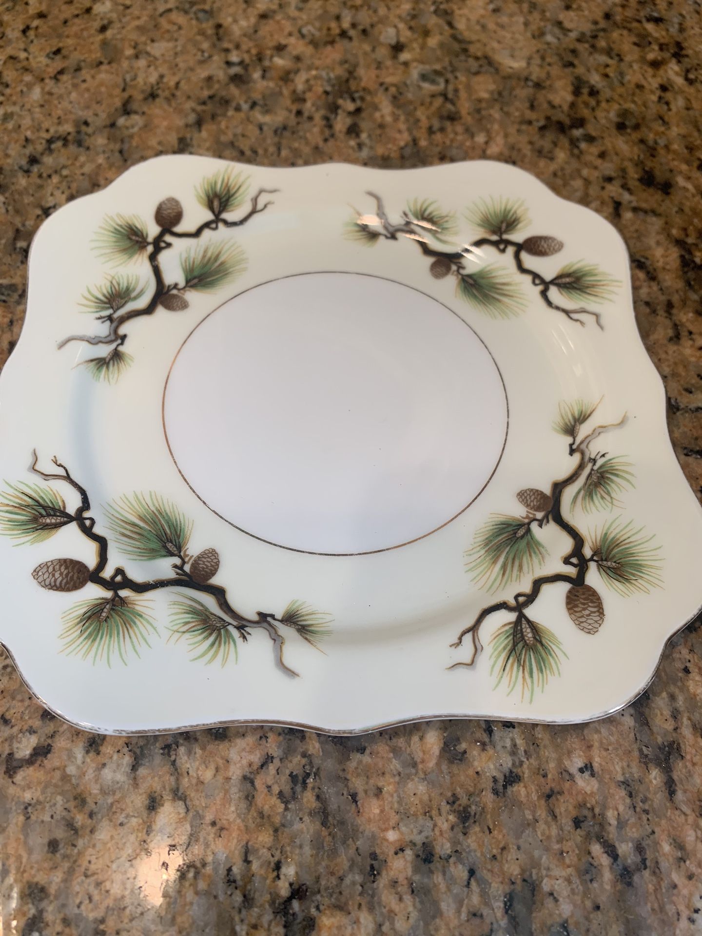 Dishes , Shasta Pine Cones