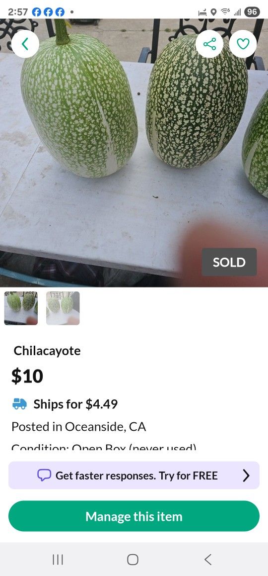 Chilacayotes