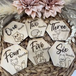 Baby Milestone Discs 