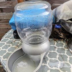 Dog Water Holder 