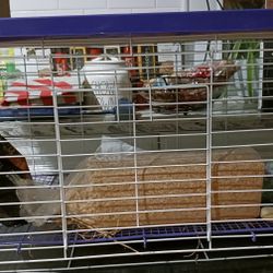 Small Animal Cage (Ferret, Bunny, Chinchilla)