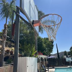 Basketball Hoop -Reebok 