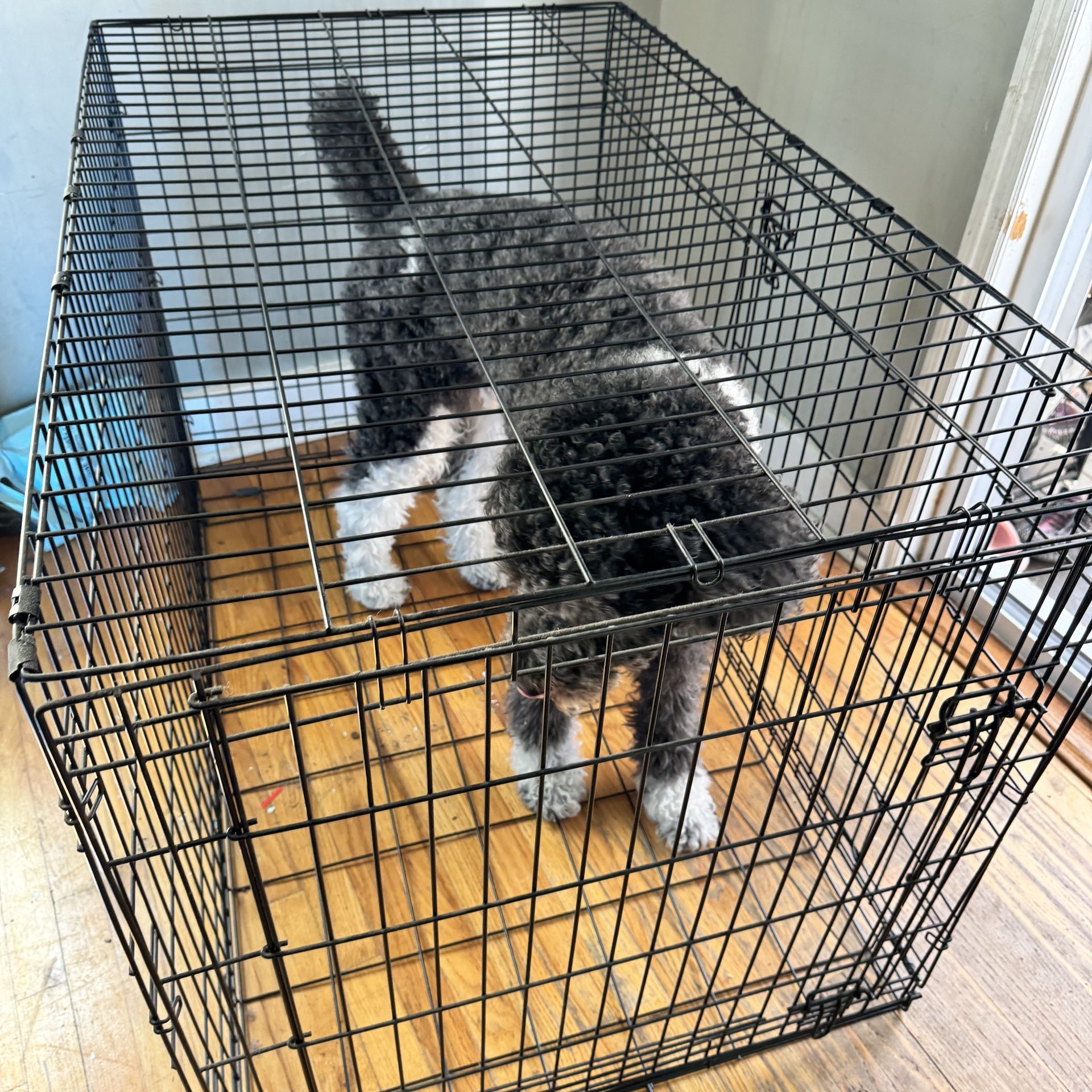 XXL 48” Dog Cage