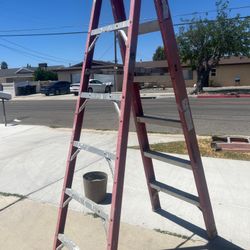 6 Foot Ladder