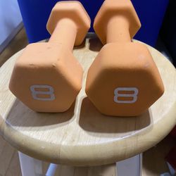 Weights Dumbbells Pair 8lbs 
