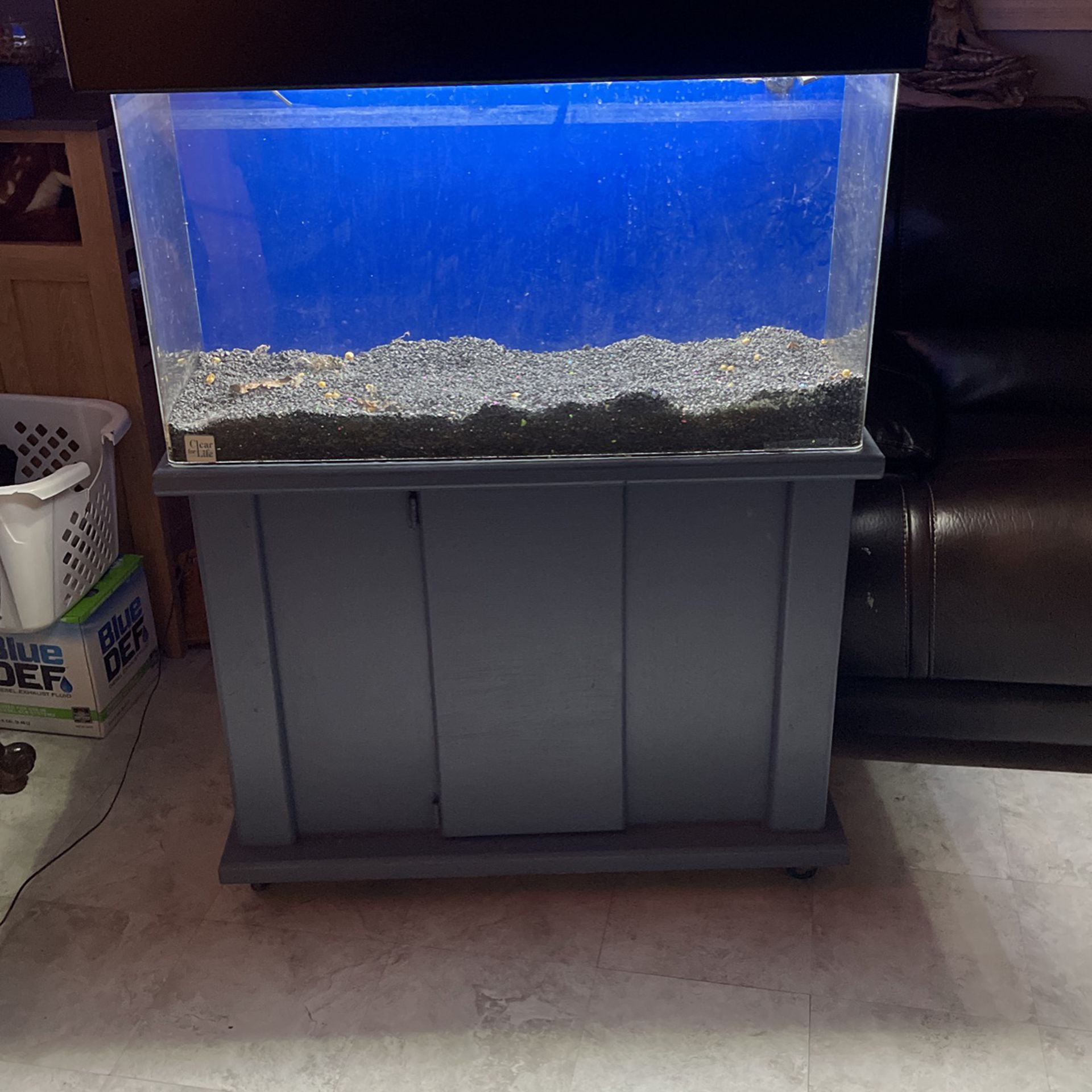 Fish  Tank  