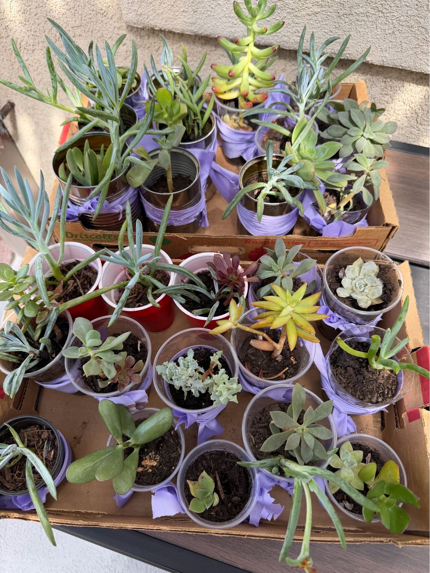 Teacher appreciation one dollar each