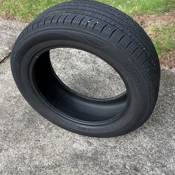 One Tire Road Hugger GT