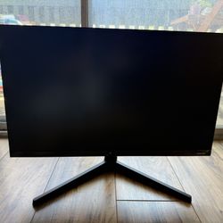 Computer Monitor 
