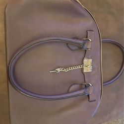 Aldo Brand Purse 