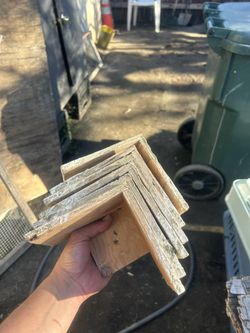 Bird Stands