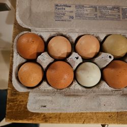 Farm Fresh Eggs 