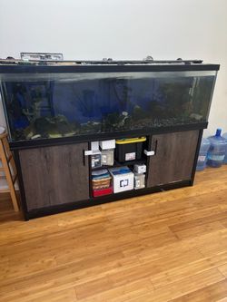 Marineland 125
