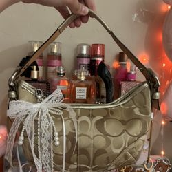 Coach Hobo Bag 