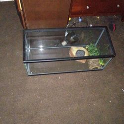 Terrarium 