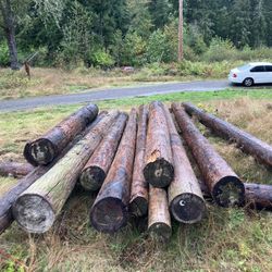 Assortment Of Used Telephone Poles Multiple Sizes And Lengths