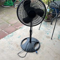 Fan