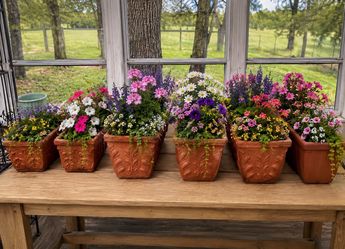 ✨ Terracotta Trough Planters✨