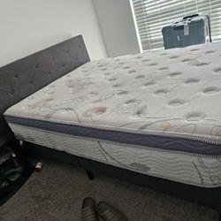 Queen Bed And Mattress 