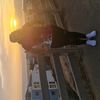 Josse