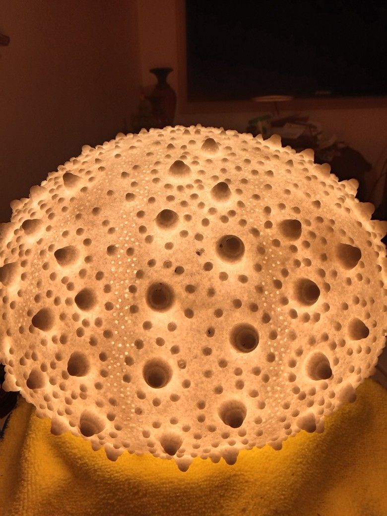 Night Lamp Sea Lunar