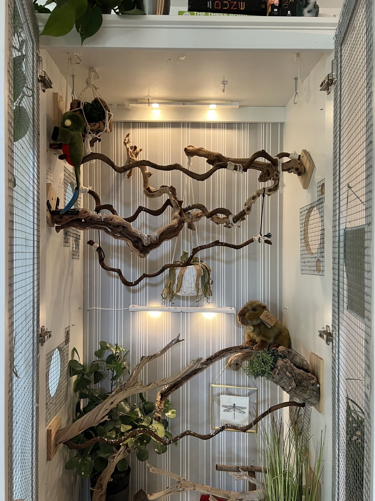 Bird Cage Reptile Enclosure Ikea Bookcase Wardrobe Pets for Sale in