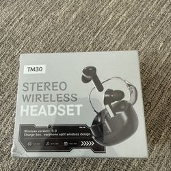 TM 30 Wireless Earbuds