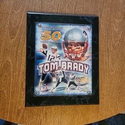 Tom Brady Single Season Passing Record Plaque 