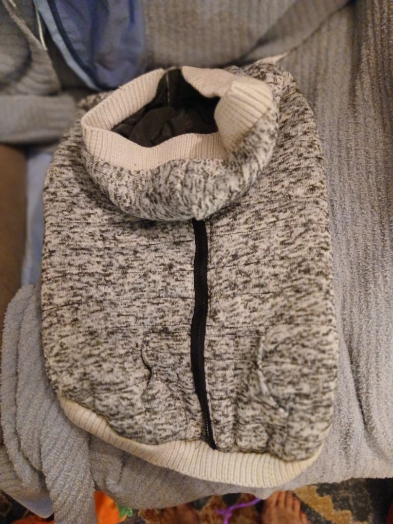 Dog Hoodie 