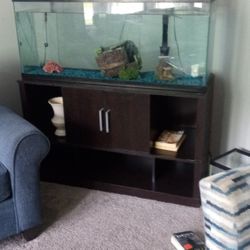 Fish Tank