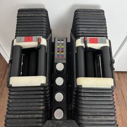 Powerblock Dumbbell Rare Big Block Set