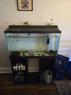 30 Gallon Aquarium and Stand