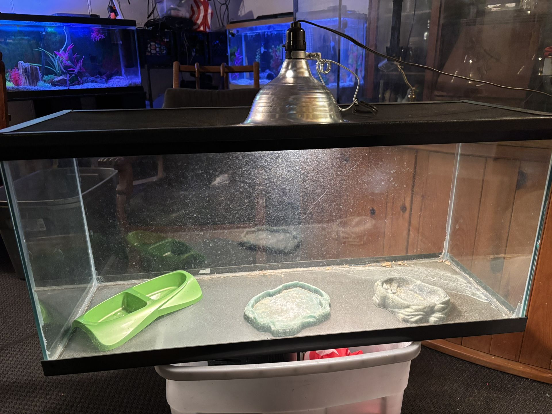 30 gallon reptile tank and accessories