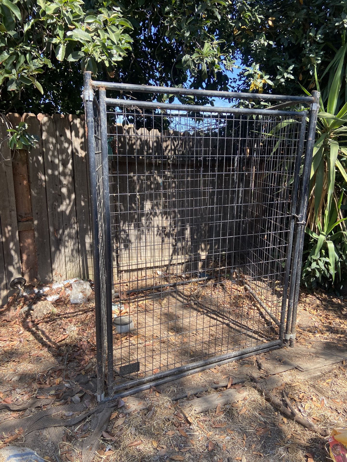 Dog Kennel 