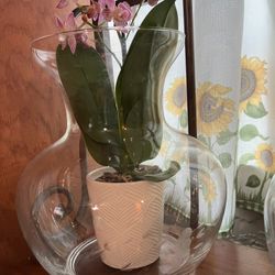 Florero De Cristal Heritage De Princes House 